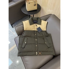 Louis Vuitton Down Jackets